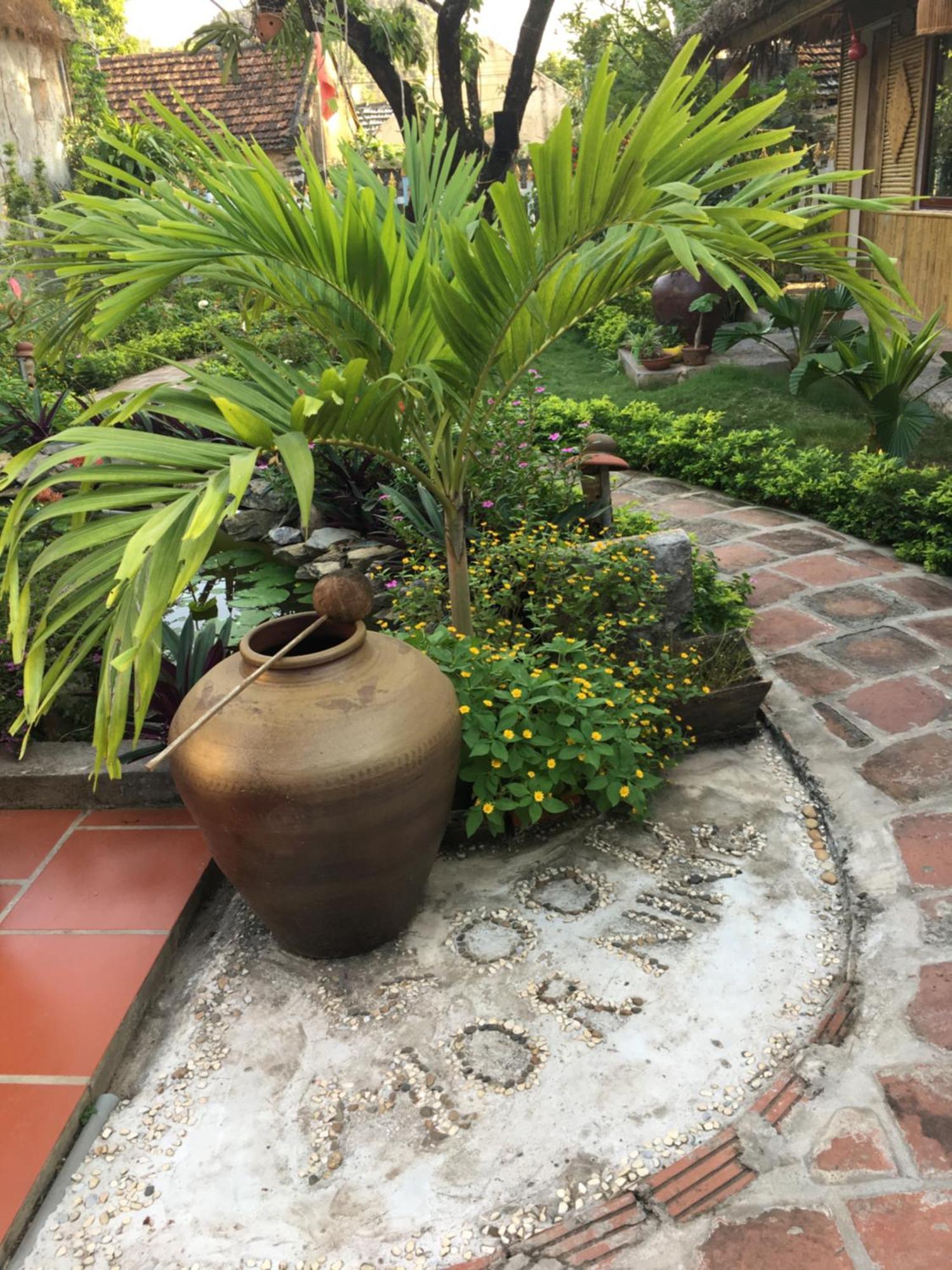 הוילה נין בין Tam Coc Palm House מראה חיצוני תמונה