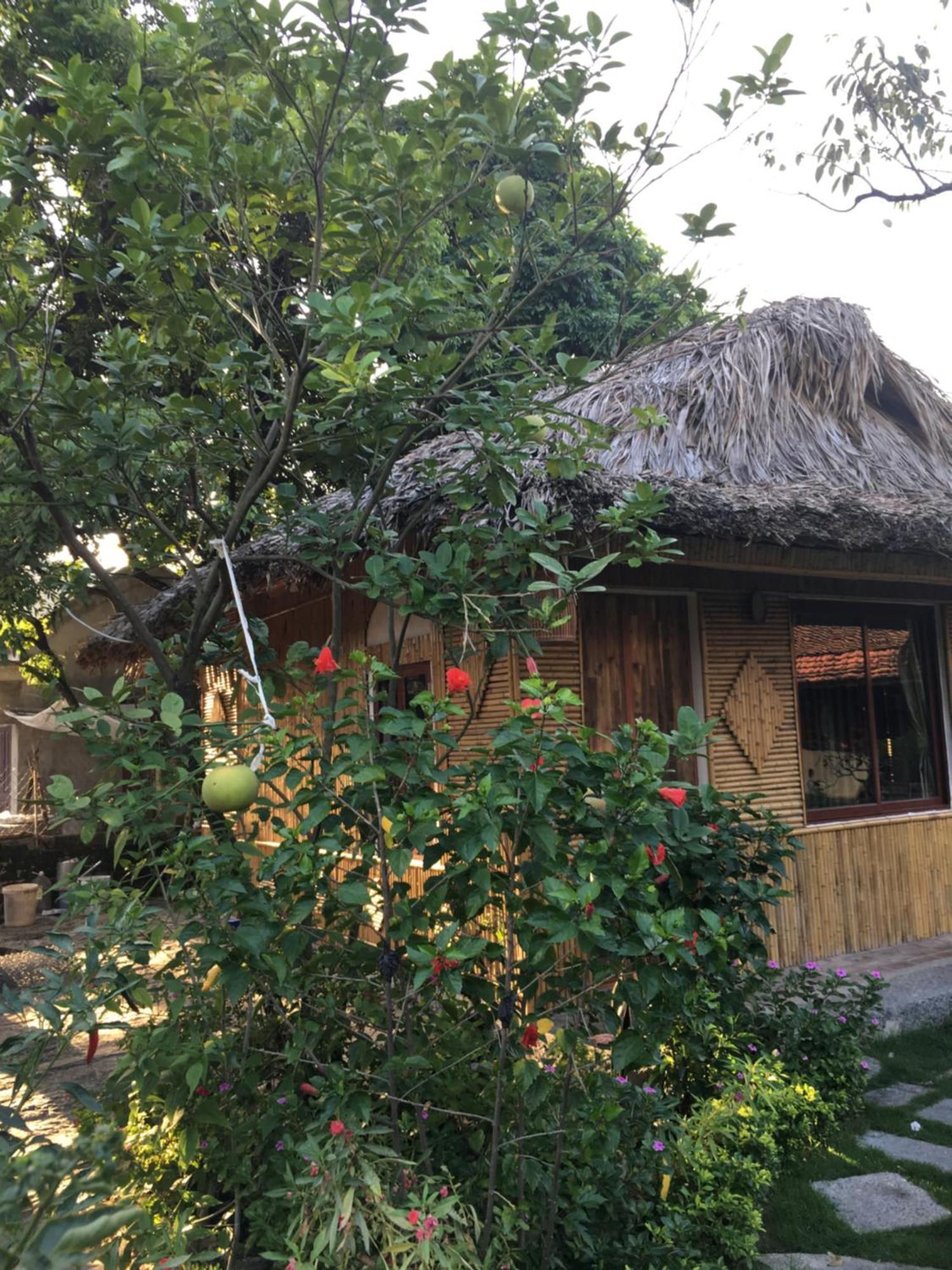 הוילה נין בין Tam Coc Palm House מראה חיצוני תמונה