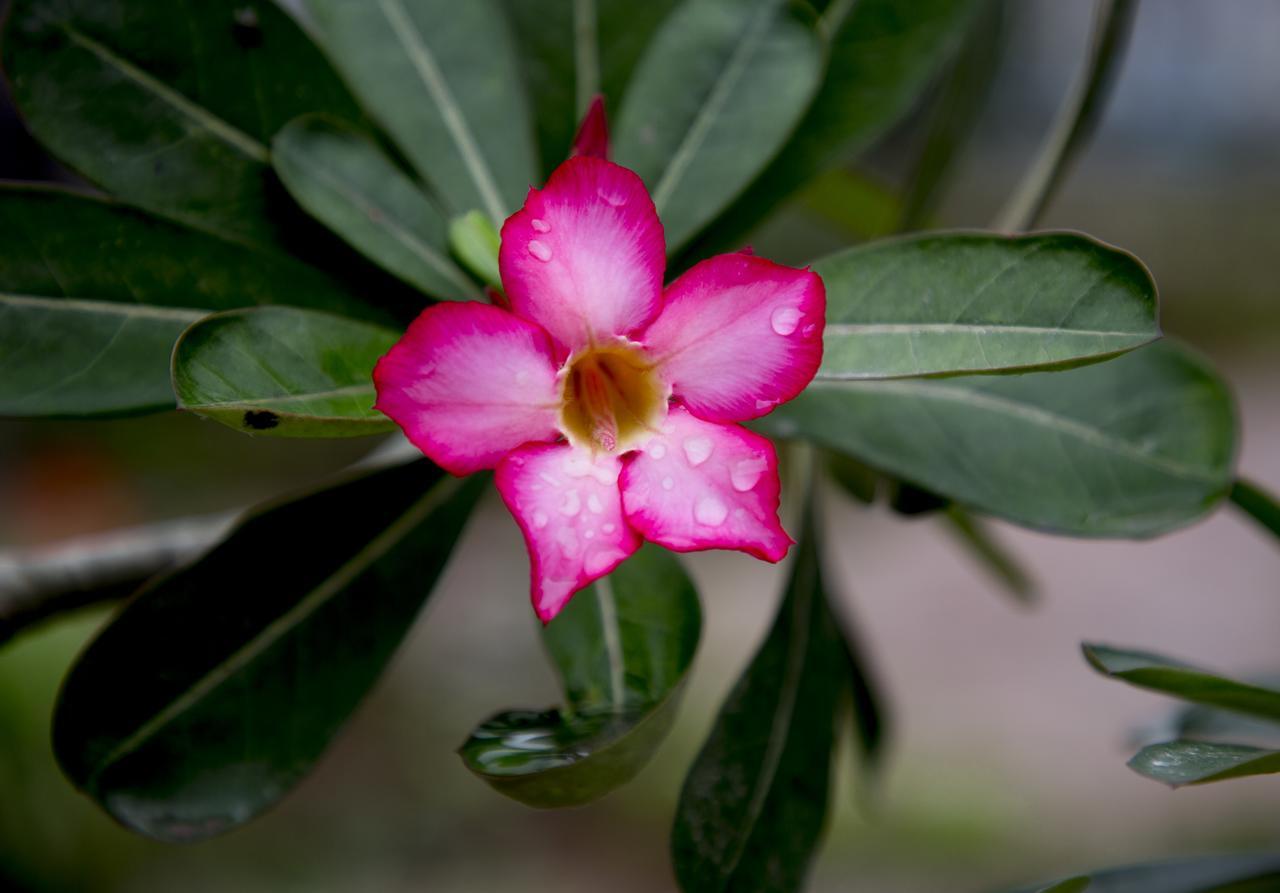 הוילה נין בין Tam Coc Palm House מראה חיצוני תמונה
