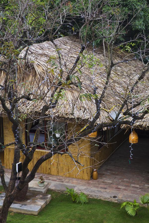 הוילה נין בין Tam Coc Palm House מראה חיצוני תמונה