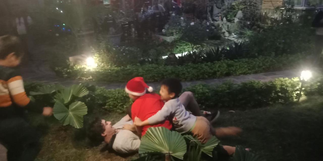 הוילה נין בין Tam Coc Palm House מראה חיצוני תמונה